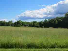 Land